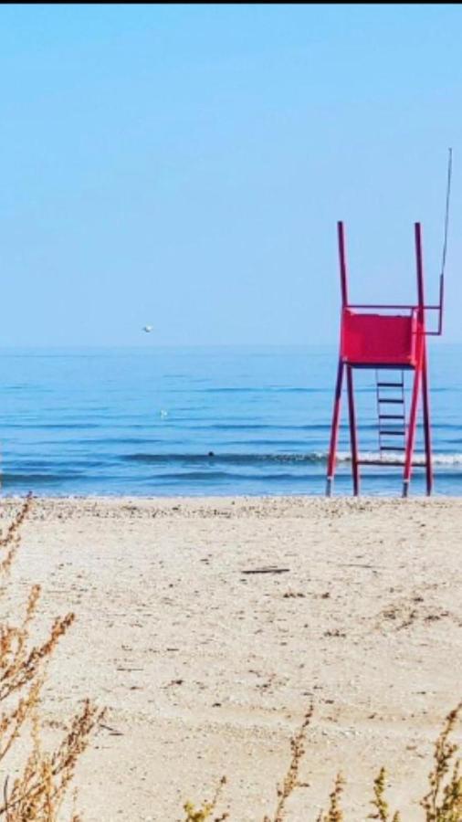 Apartament Summerland Mamaia Nord المظهر الخارجي الصورة