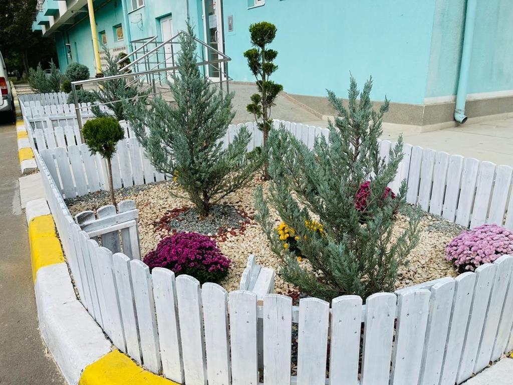 Apartament Summerland Mamaia Nord المظهر الخارجي الصورة