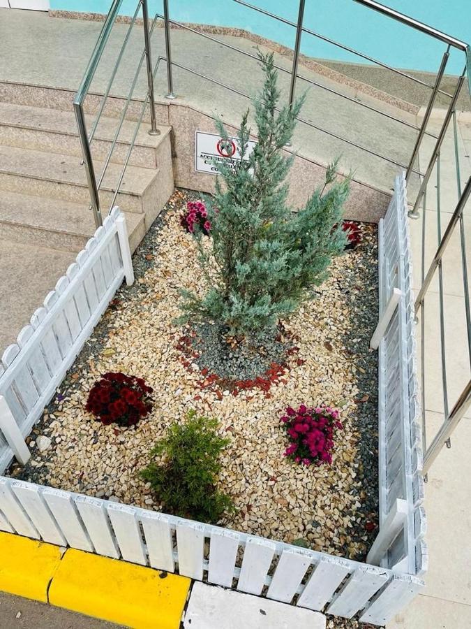 Apartament Summerland Mamaia Nord المظهر الخارجي الصورة